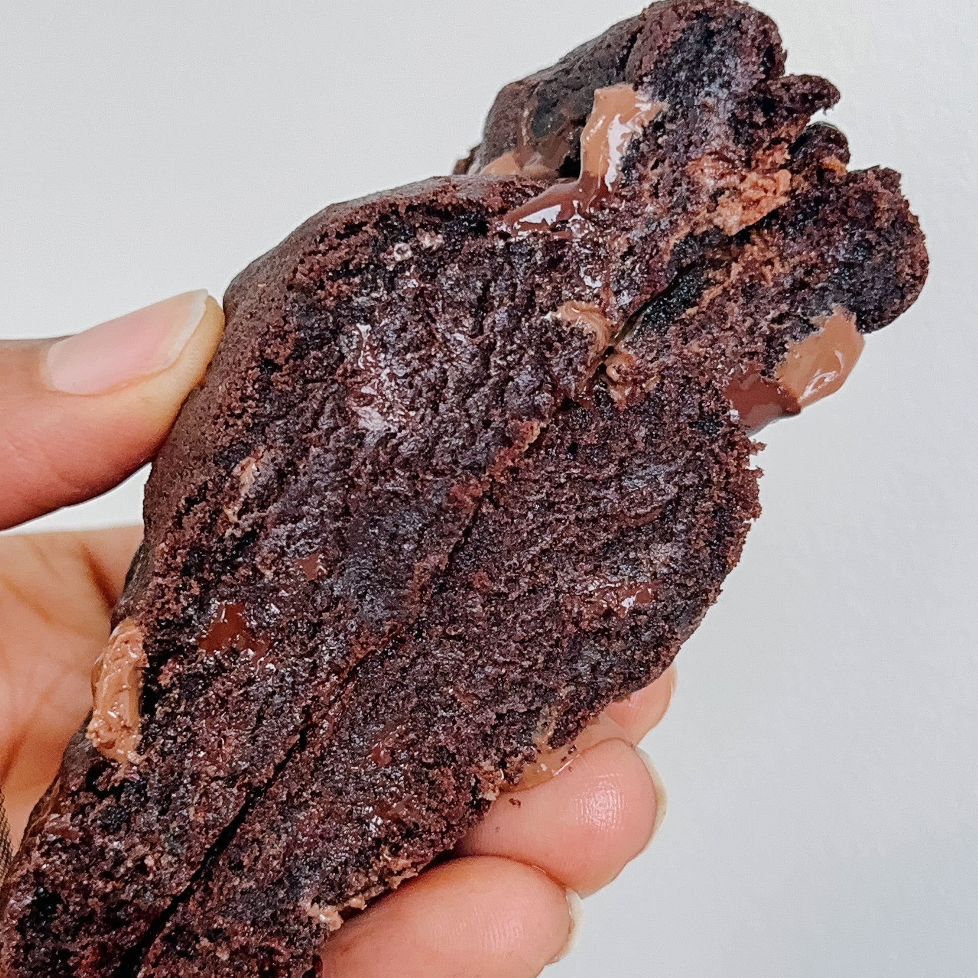 Double Chocolate Cookie