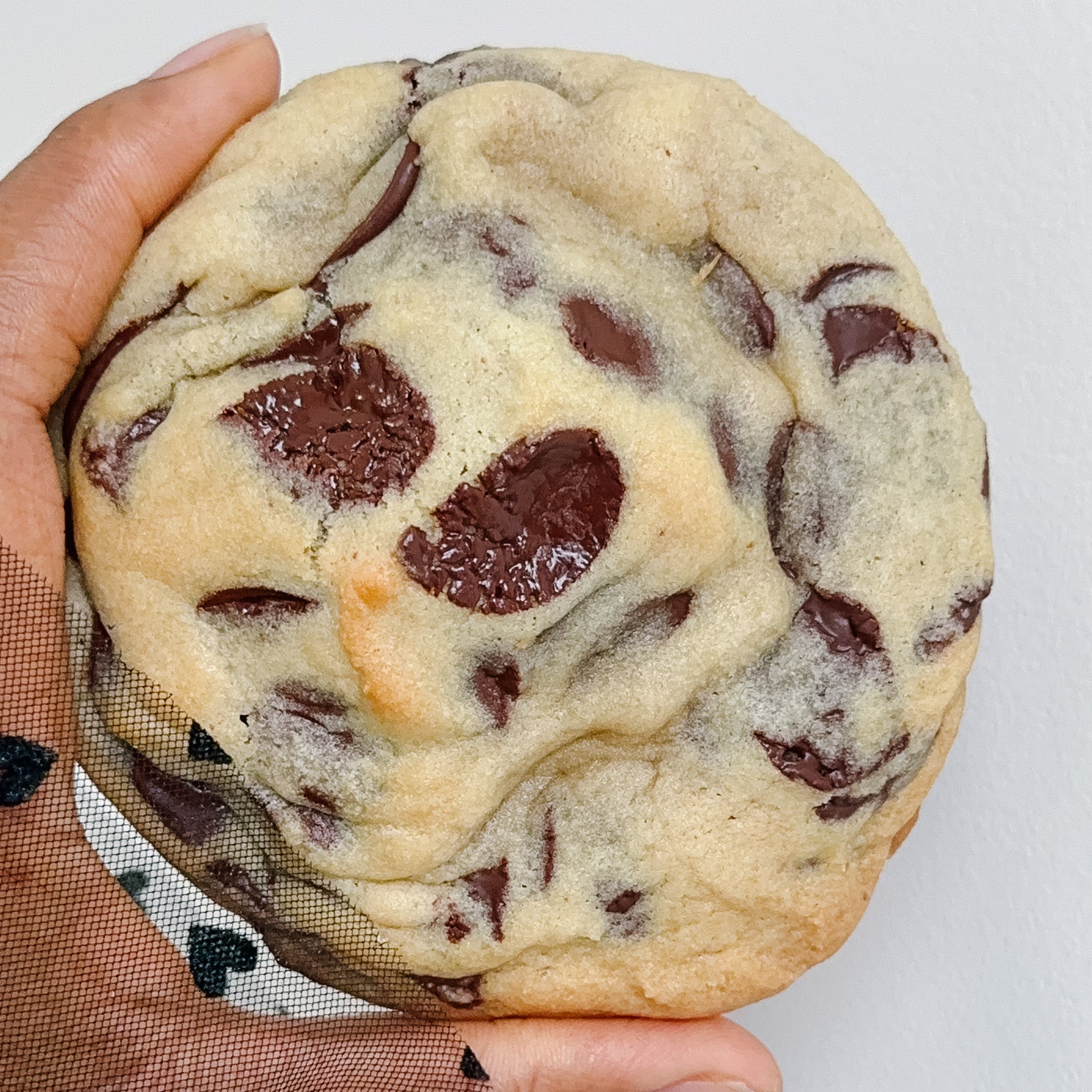 Chocolate Chip Cookie