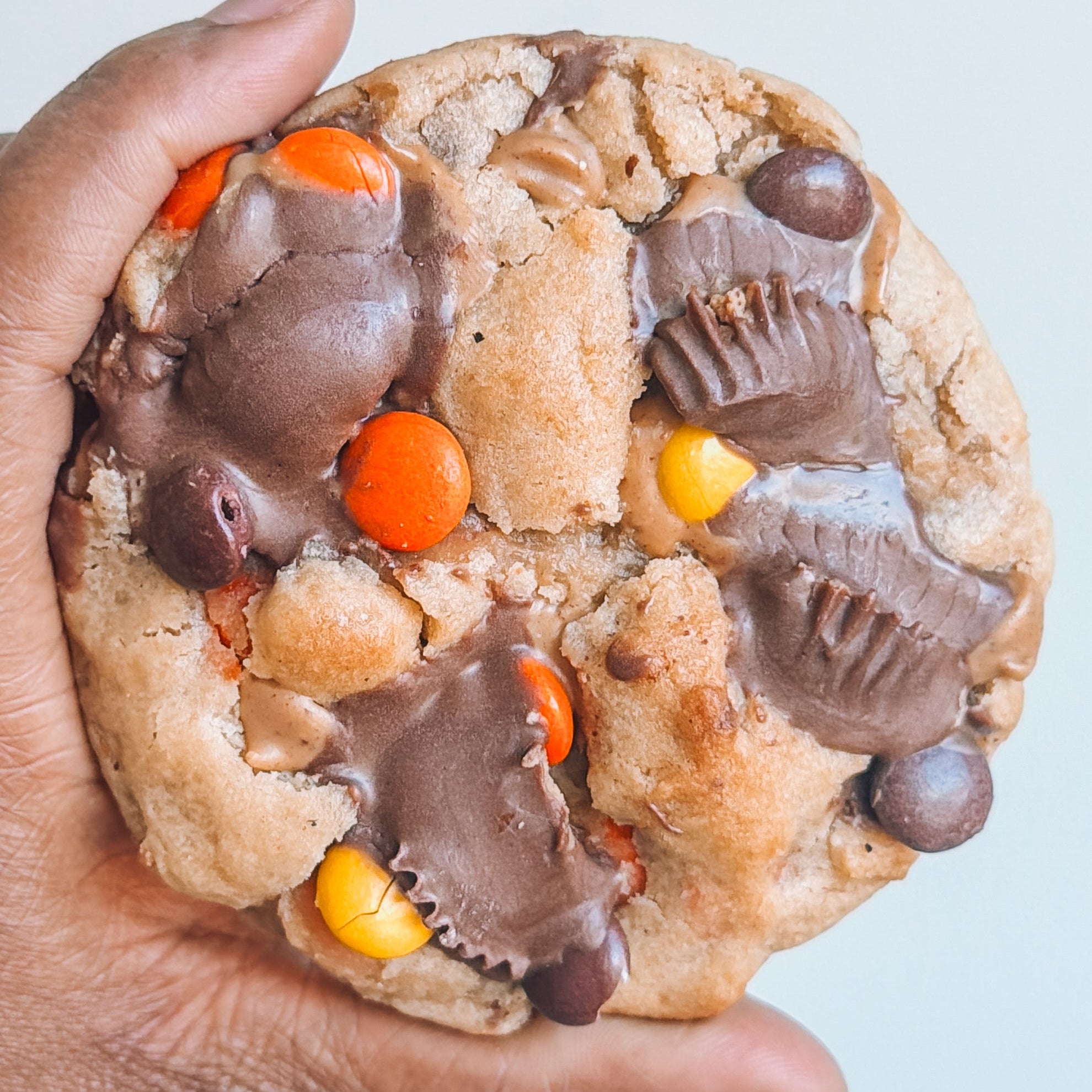 Reese Peanut Butter Lovers