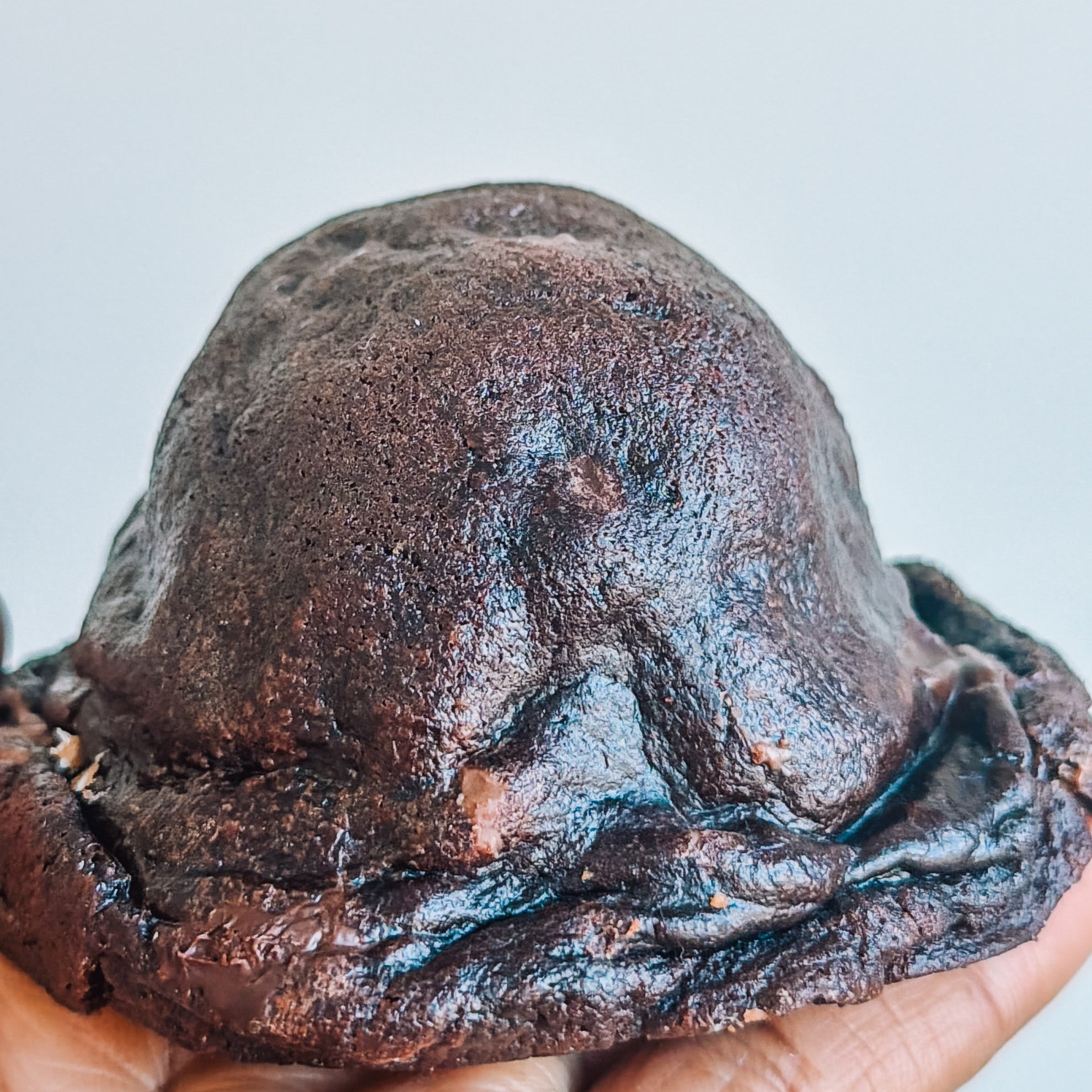 Chocolate Fudge Cake Stuffed Double Chocolate Cookie